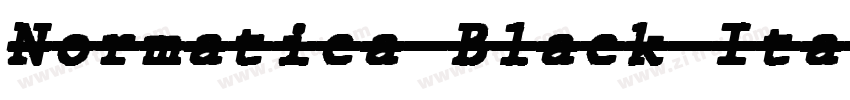 Normatica Black Ital字体转换